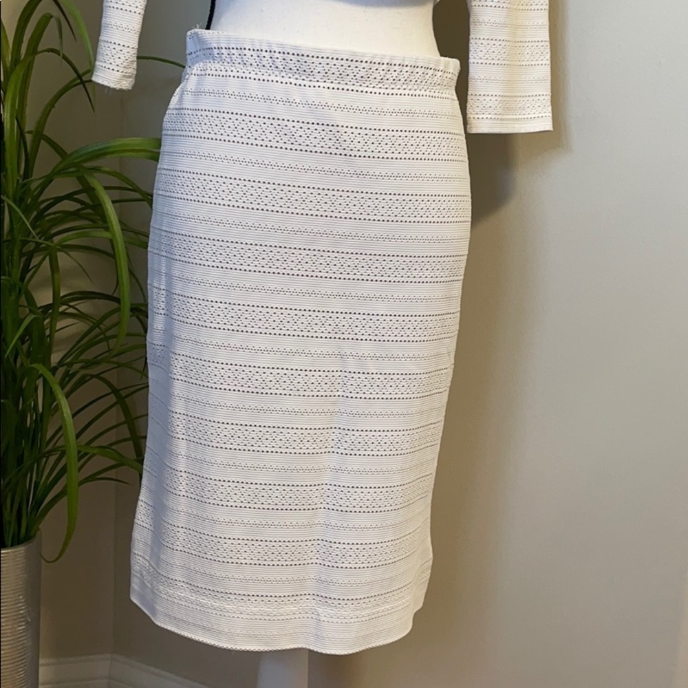 BCBG Crop & Midi Skirt Set - Picture 3 of 10